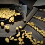 Industrie, négoce de pomme de terre, PIROTAIS, Saint-Sylvain d'Anjou