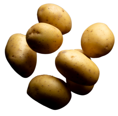 pomme de terre