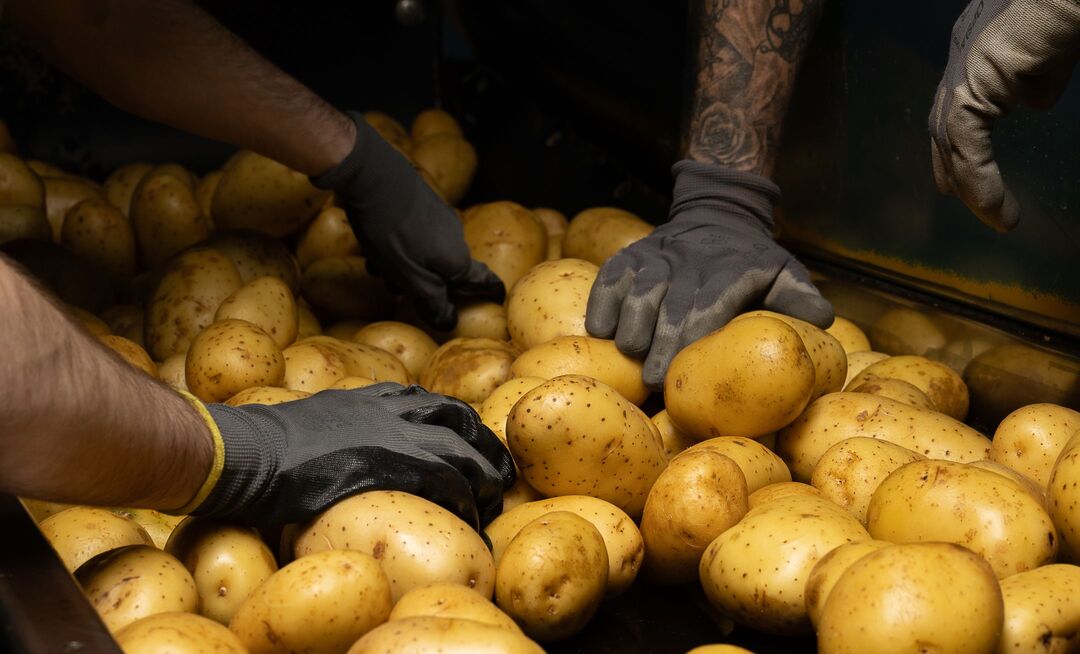 méthode haccp