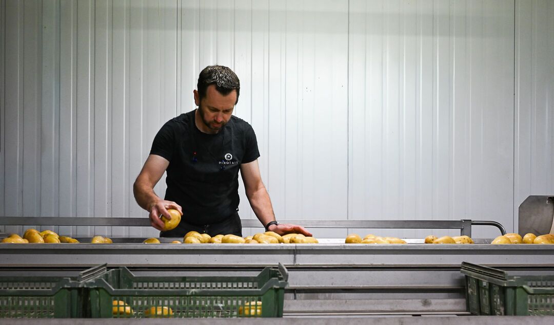 conditionneur pomme de terre